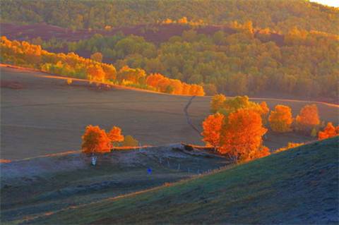 描写龙首山的导游词