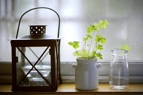 河北省12篇导游词