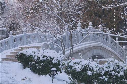 对母校的赠言的诗句