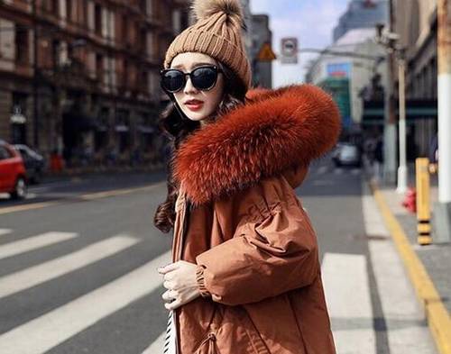 关于荷花的小学诗句