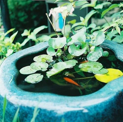 人民的名义里的古诗词