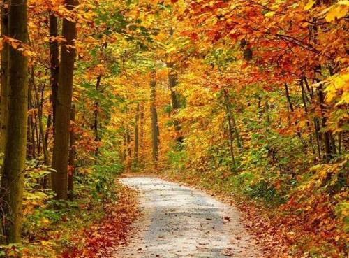 李白志向的诗句