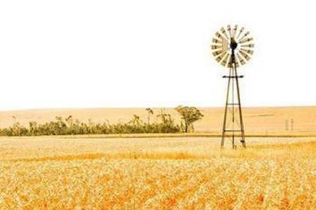 水字开头诗句字