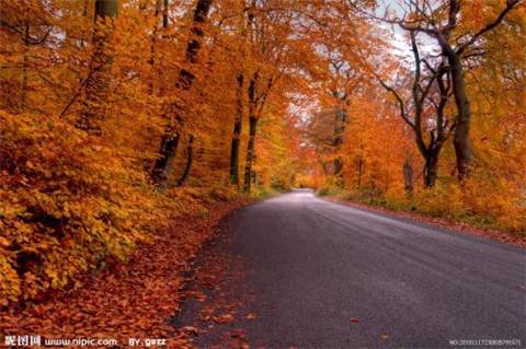 红木城导游词作文
