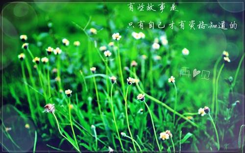 二十四节气歌古诗