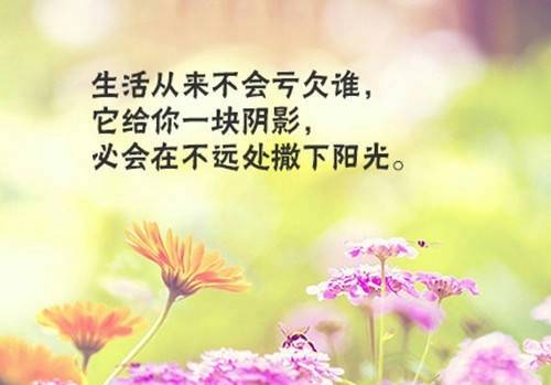 描写春天的花的诗句