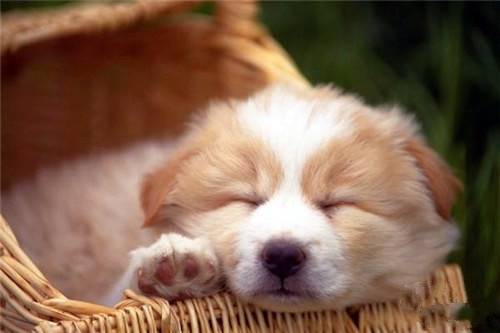 开头是千的诗句