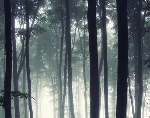 导游词故宫中英对照