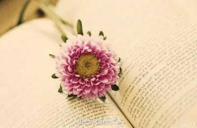 实现梦想的诗句