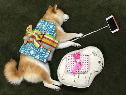 形容虚幻的古诗句