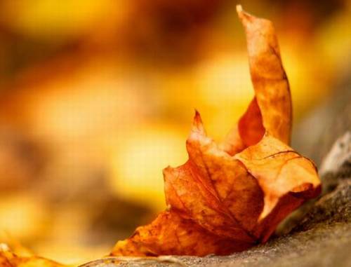 形容云雾的诗句