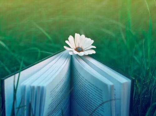 洪雅瓦屋山导游词