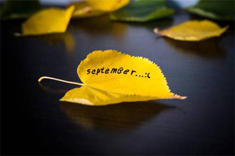 分享古诗加感想