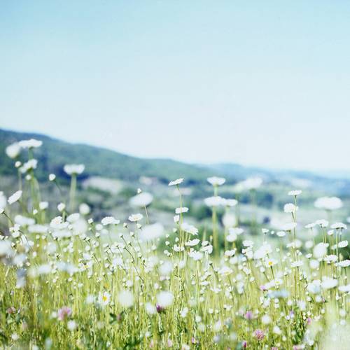 江村夜泊古诗配画黑白