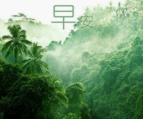 背井离乡的诗句