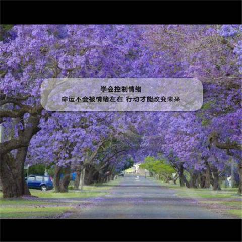 开元寺导游词范文