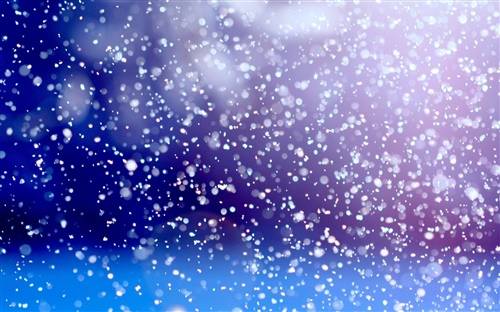 琥珀导游词200字