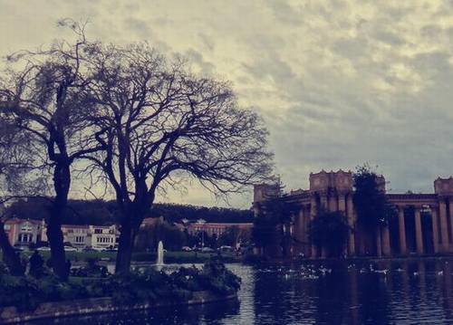 古诗词赏析小升初