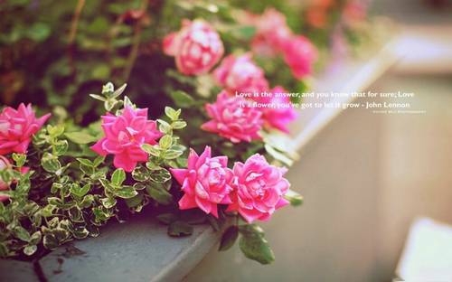 桃花源英语导游词