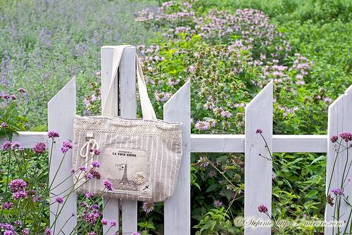 关于运动会的古诗词