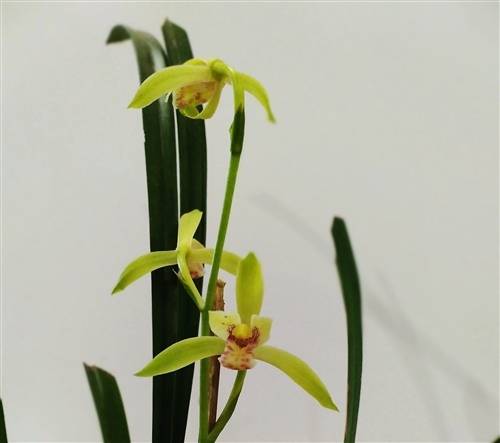 古诗词形容气候