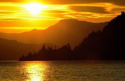 儿童古诗静夜诗