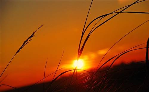 厦门风景导游词