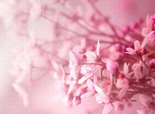 导游词沿途讲解包括