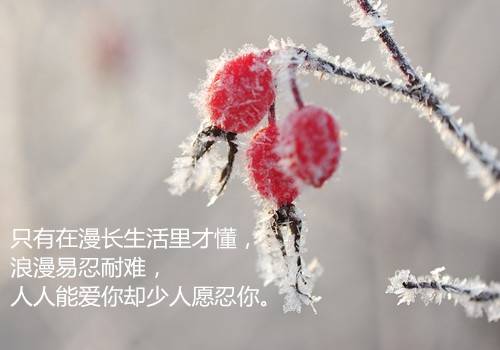 长兴纪念馆导游词