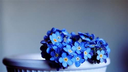 导游词的讲解思路