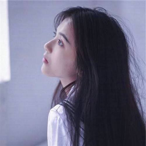 古诗赞小鸟的诗句