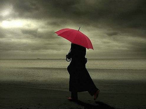 杨万里小池古诗的意思