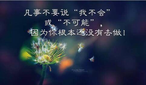 峨眉山当导游词