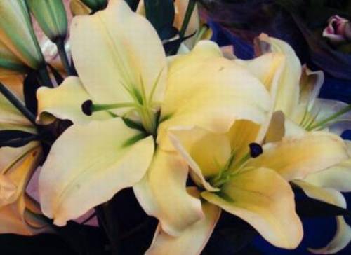 描写谦逊的古诗句