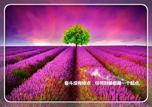 关注底层人民的古诗