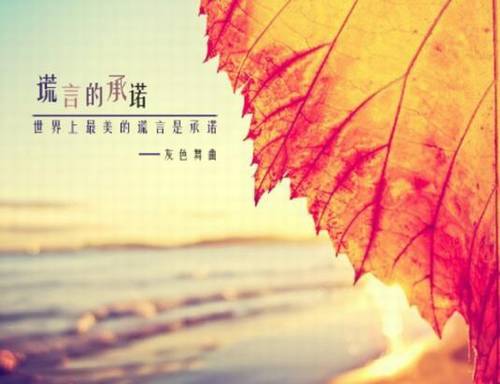 深圳外宾导游词