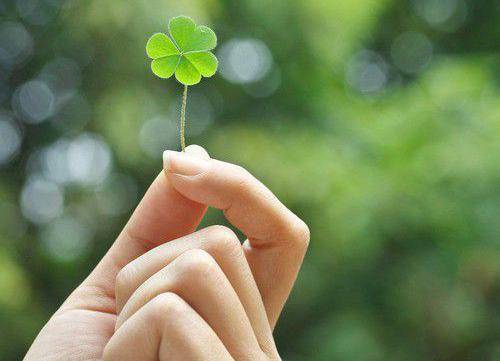 故宫导游词海报