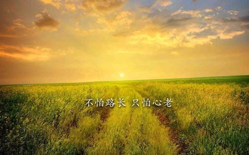 古诗词竞赛总结