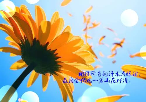 仿写长城改导游词