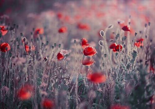 宁德市的导游词