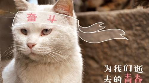 带桃花源的古诗