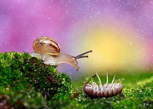 古诗表达我喜欢你