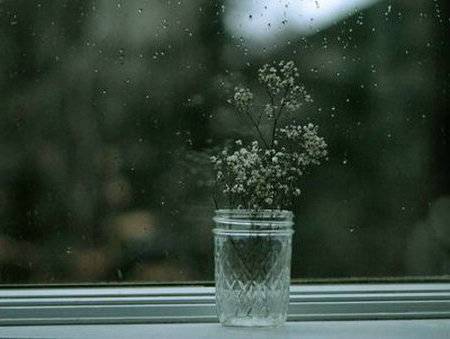 八下语文书课后古诗