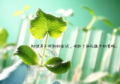 丽江宣传导游词