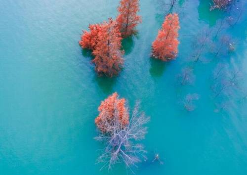 游安徽徽园导游词