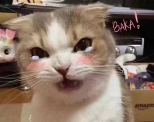 坚强独立的古诗词