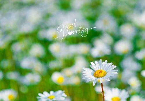 神话故事的古诗50首