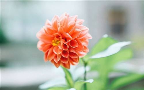 形容心灵美的古诗