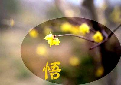 篇幅长的古诗词