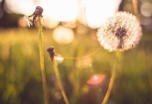 导游词开篇介绍